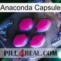 Anaconda Capsule 02